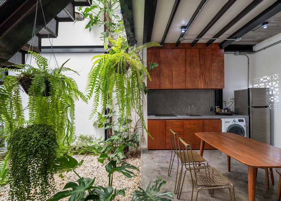 Arranging greenery in a well-lit space